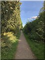 Footpath On Former Railway Line