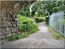 ST4553 : Strawberry Line NCN26 at Lower New Road in Cheddar by Kevin Pearson