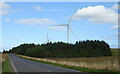 NS9557 : Woodland and wind turbine by JThomas