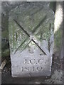 Old Boundary Marker in Victoria Park, Plymouth