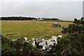 Pasture at Stirkoke House