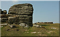 SX6981 : Rockpile, Hookney Tor by Derek Harper