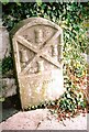 Old Boundary Marker on Torr Lane, Plymouth