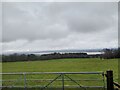 View over the Severn Estuary from Tidenham Chase