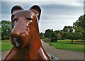SK3386 : Brown bear in The Botanical Gardens by Neil Theasby