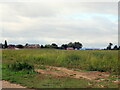 Rough field off Grafton Lane, Bidford on Avon