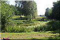 Pond at Alice Springs Lodge