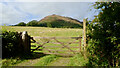 Loweswater Fell