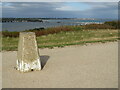 SZ1790 : Triangulation pillar at Hengistbury Head by Malc McDonald