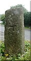 Old Boundary Marker on Tavistock Road, Plymouth