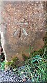 Benchmark on gatepost at entrance to Stone Raise