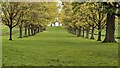 Avenue to the Arches (Shobdon)