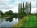 SK8969 : Fish pond and poplars, Doddington Hall estate by Humphrey Bolton
