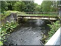 Footbridge over the River Darwen by Ewood Park