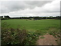 Grass field near Burlescombe