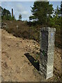 Wheal Anna Maria - trail marker and chimney