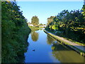 SP3483 : The Coventry Canal in evening sunshine by Ruth Sharville
