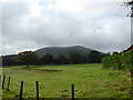 Corndon Hill viewed from just below Stapeley Hill