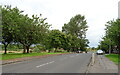 Omoa Road (B7029), Cleland