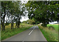 Foulburn Road towards Bellside