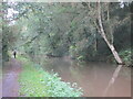 The Cheshire Ring Canal Walk