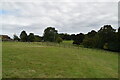 Pasture near Ibstone