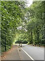 Road through Stivichall Common