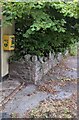 Yellow defibrillator box on a Mynydd-bach wall, Monmouthshire