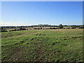 Grass field near Woodford Halse