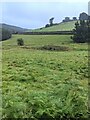 Towards Usk Road, Mynydd-bach, Monmouthshire