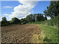 Harrowed field near North Newington Mill