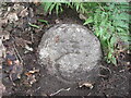 Old Bridge Marker southwest of Glazebrook Bridge, Ugborough