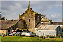 S1556 : Castles of Munster: Archerstown, Tipperary  (2) by Mike Searle