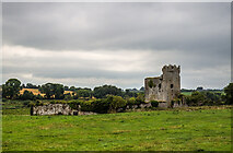 S0340 : Castles of Munster: Ballynahinch, Tipperary  (1) by Mike Searle