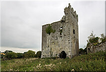 S0340 : Castles of Munster: Ballynahinch, Tipperary  (7) by Mike Searle