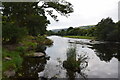 Afon Dyfrdwy (River Dee)