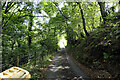 Minor road leading to Bwlch Garw