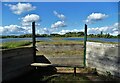 Bird hide south of Wild Goose Farm