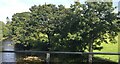 The River Lowther at Eamont Bridge