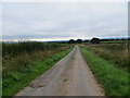 Hedge-lined minor road near to Glengarth