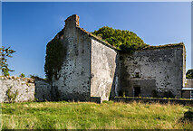 S2754 : Ireland in Ruins Pt III: Littlefield House, Co. Tipperary (3) by Mike Searle