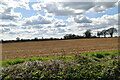 Ploughed field