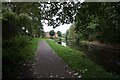 Stourbridge Canal towards Seven Dwellings Bridge