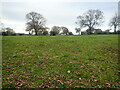 SJ1363 : Field east of Llangynhafal by Eirian Evans