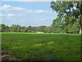 Field north of Burleigh Lane, Crawley Down