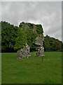 S4465 : Castle Ruin by kevin higgins