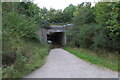 Bridleway under the A44