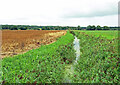 Wangford Drain