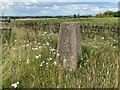 Allesborough Trig Point Flush Bracket S3964