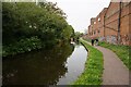 Stourbridge Canal towards Glasshouse Bridge